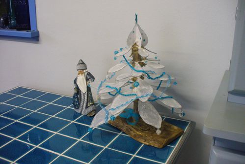 notre petit sapin de la cuisine