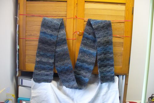 écharpe point de vagues laine lang yarns mille colori