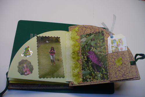 album photos brigitte nénuphars