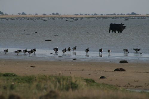 20080808_9_45.JPG