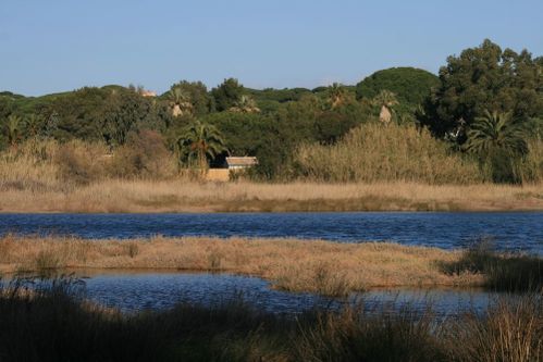 Decembre-2009 9605