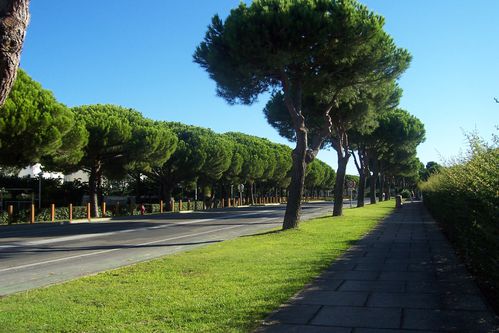 100_9752.JPG