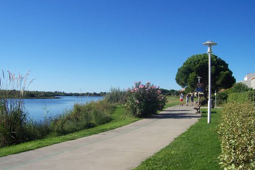 100_9753.JPG