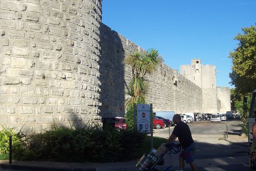 100_9834.JPG