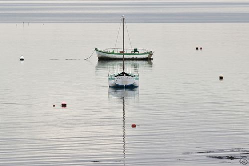 2012-9715.jpg
