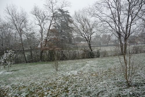 Dernieres-photos-mars-2010-001.jpg