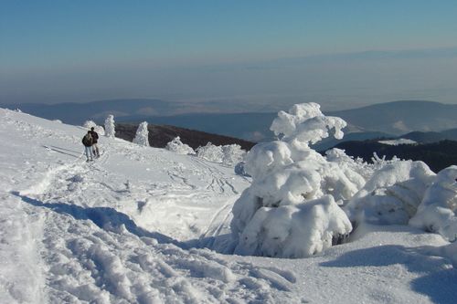 paysage d'hiver neige