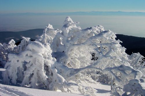 paysage d'hiver neige1