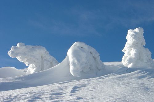 paysage d'hiver neige2