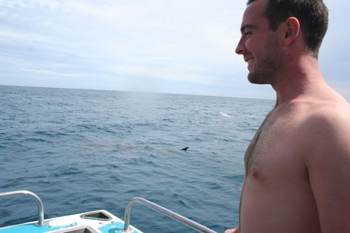 swimming with whale sharks exmouth (65)