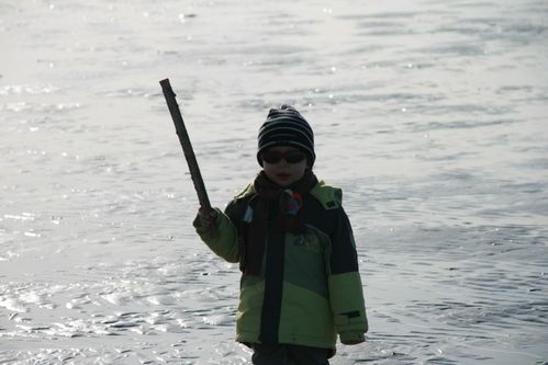 2010 03 7700