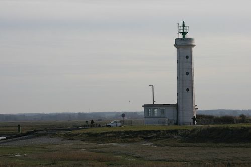 2010 03 7855