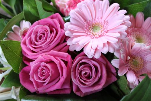 fleurs-roses.jpg
