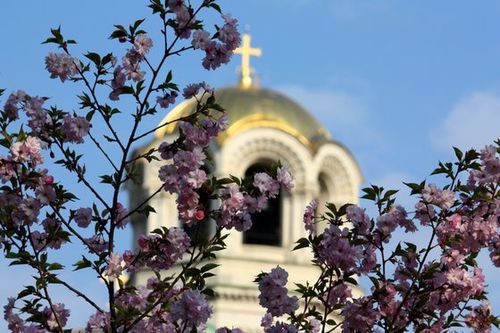 SOF1 Sofia in spring[1]