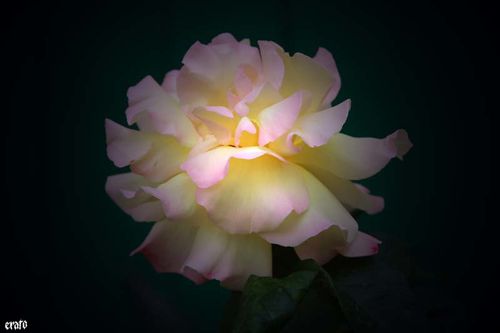 recueil-10_1243.jpg