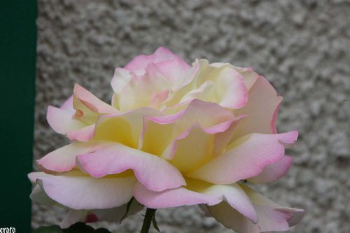 recueil-71-2100-a.jpg