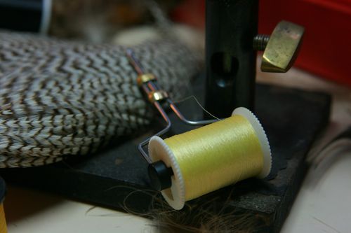2013_01_26_0500.JPG