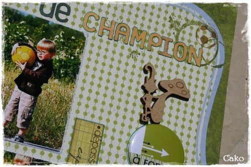 Details-1-Graine-de-Champion.JPG