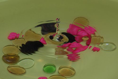 IMGP7563.JPG