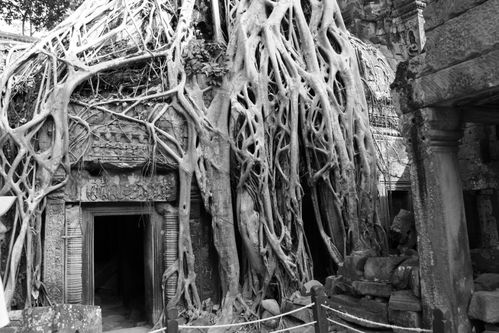 Ankor-Wat-145--1600x1200-.jpg