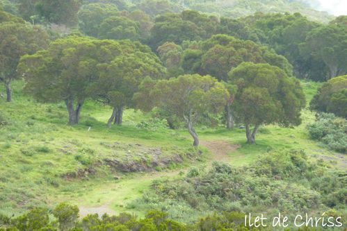 rencontre 55 ans et plus