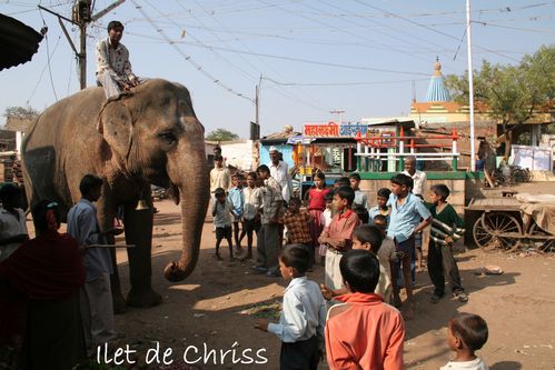 ELEPHANT BADAMI 01 IDC