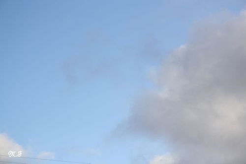 20110117_126.JPG