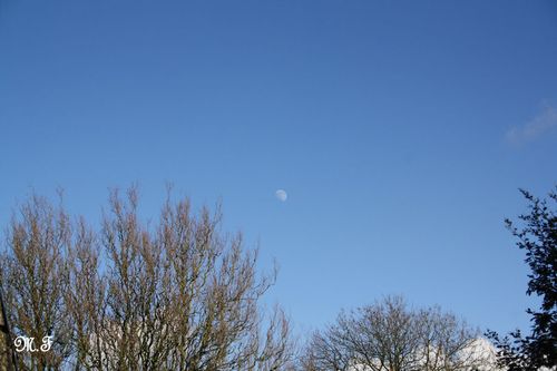 20110214 4