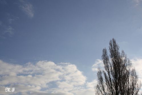 20110228 1