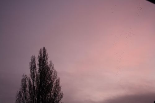 201111281