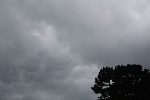2011 09 19 255