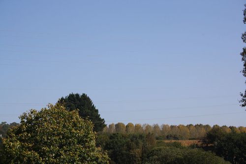 2011 10 03 799