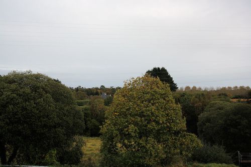 2011 10 24 234