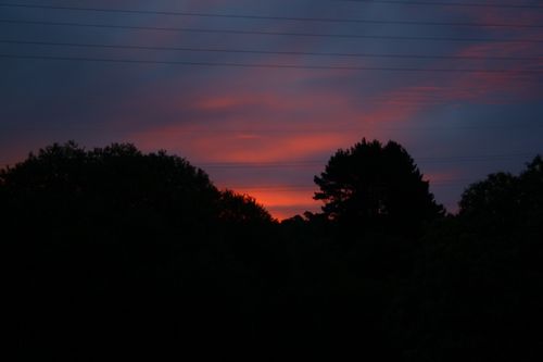 2012-07-30_0004.JPG
