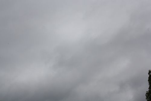 ciel11041