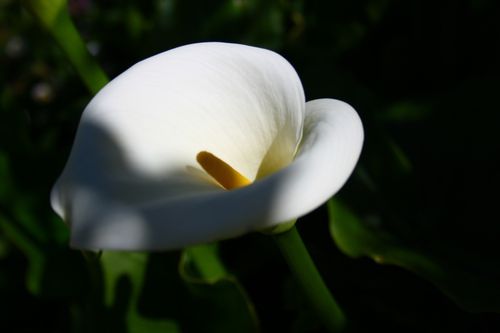 2012-05-16_0115.jpg