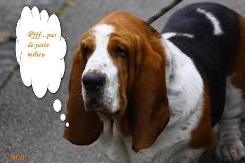 2012-07-19_0112-bulle.jpg