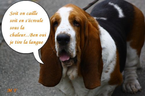2012-07-19_0113-bulle.jpg