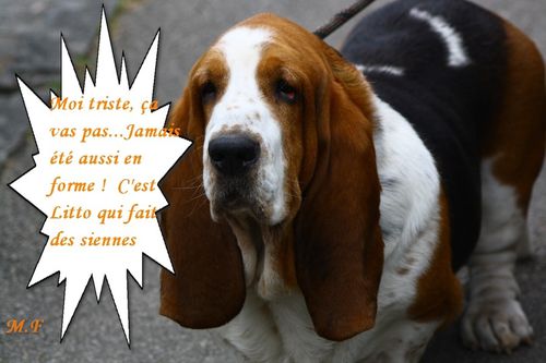 2012-07-19_0114-Bulle.jpg