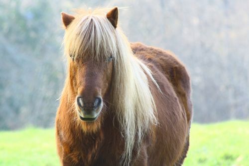 Une-blonde.JPG