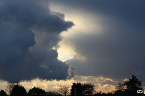 20101125 15