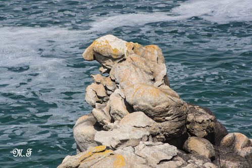 Pointe du Millet 011