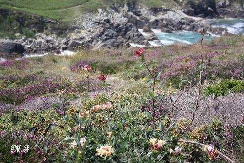 Pointe du Millet 019