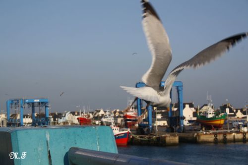 20110302_226.JPG
