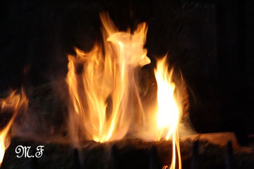 Kervoazou le 17-01-09 031