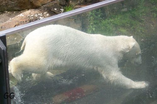 100_6714.jpg
