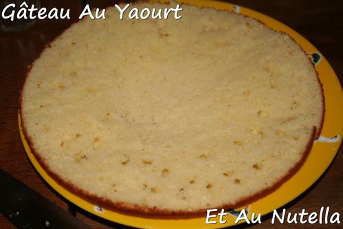 gateau-au-yaourt-et-au-nutella1.jpg
