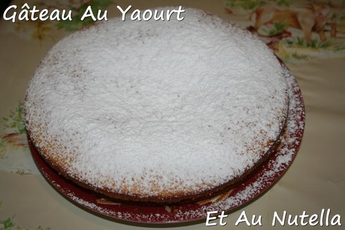 gateau-au-yaourt-et-au-nutella3.jpg