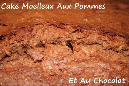 cake-moelleux-aux-pommes-et-au-chocolat1.jpg