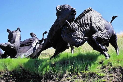 TATANKA STORY OF THE BISON